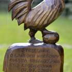 zdjęcie nr 8