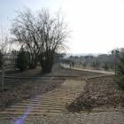 zdjęcie nr 29