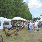 zdjęcie nr 85