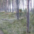 zdjęcie nr 12
