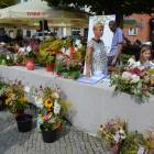 zdjęcie nr 20