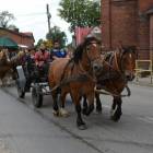 zdjęcie nr 21