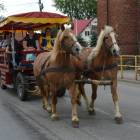 zdjęcie nr 35