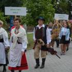 zdjęcie nr 12