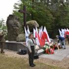 zdjęcie nr 17