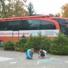 zdjęcie nr 45