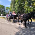 zdjęcie nr 21