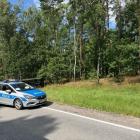 Fotka nr 1 z 21