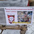 zdjęcie nr 41