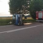 zdjęcie nr 7