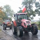 zdjęcie nr 14