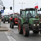 zdjęcie nr 49