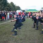 zdjęcie nr 135