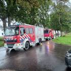Fotka nr 2 z 4
