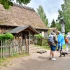 zdjęcie nr 79