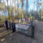 Fotka nr 3 z 18
