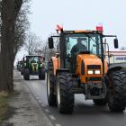 zdjęcie nr 19
