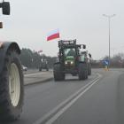 zdjęcie nr 52