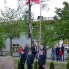 zdjęcie nr 15