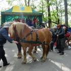 zdjęcie nr 35
