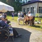 zdjęcie nr 9