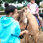 Fotka nr 3 z 20