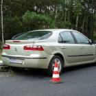 zdjęcie nr 14