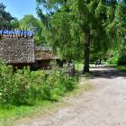 zdjęcie nr 35