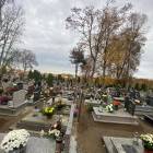 zdjęcie nr 53