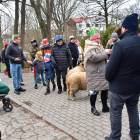 zdjęcie nr 69