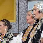 zdjęcie nr 9