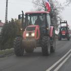 zdjęcie nr 82
