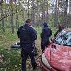Fotka nr 3 z 13