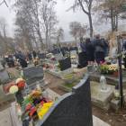 zdjęcie nr 38