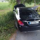 Fotka nr 5 z 9