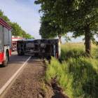 zdjęcie nr 15