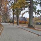 zdjęcie nr 7