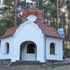 zdjęcie nr 7