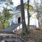 zdjęcie nr 14