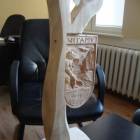 Projekt drewnianego witacza /fot. dad