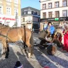 zdjęcie nr 16