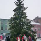 zdjęcie nr 35
