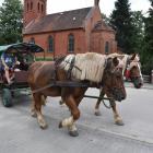 zdjęcie nr 43