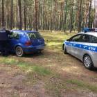 Fotka nr 1 z 3