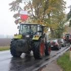 zdjęcie nr 19