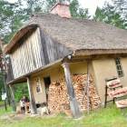 zdjęcie nr 98