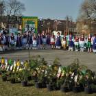 zdjęcie nr 53