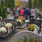 zdjęcie nr 29