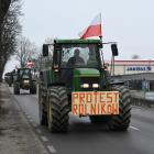 zdjęcie nr 14