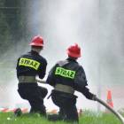 zdjęcie nr 17